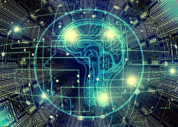 Predictions for 2019