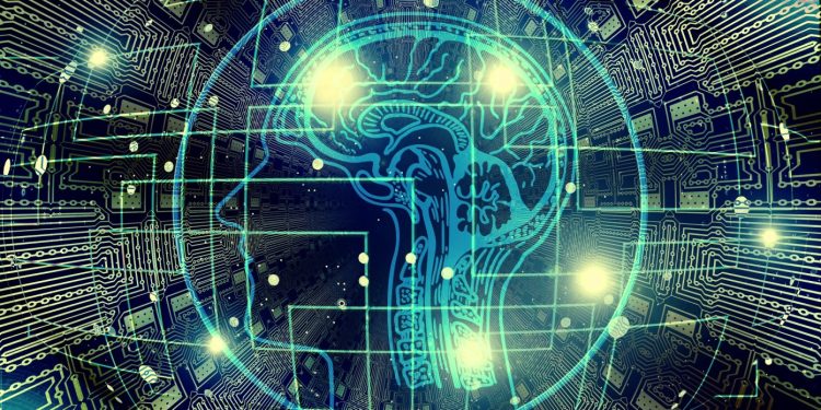 Predictions for 2019