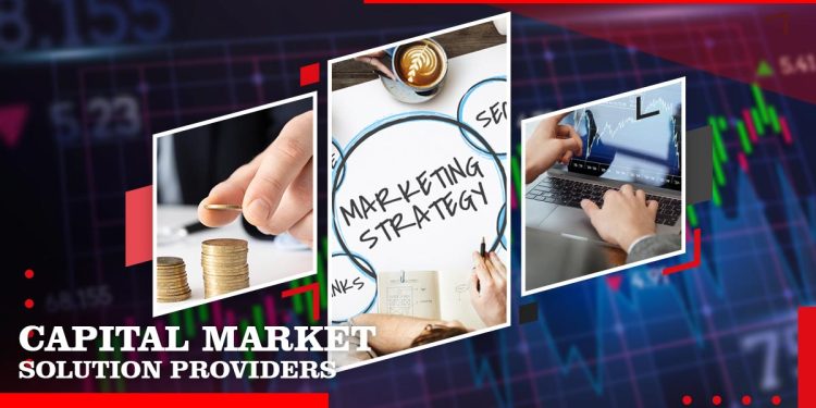 capital market solution