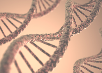 Ribonucleic RNA Life Supporter