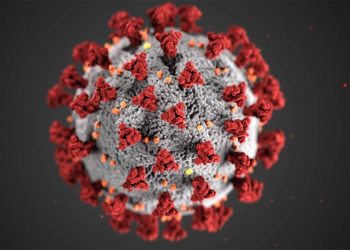 COVID-19 Outbreak - How CEOs Are Responding Today?