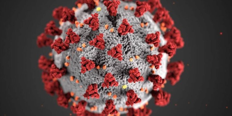 COVID-19 Outbreak - How CEOs Are Responding Today?