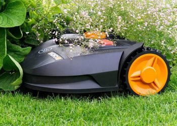 Top Agricultural Robots Development and Industry Insights