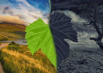 How AgriTech is Helping The Industries Deal with The Climate Change