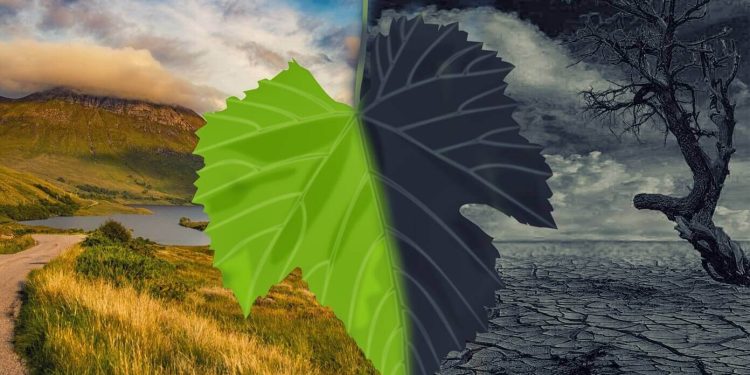 How AgriTech is Helping The Industries Deal with The Climate Change