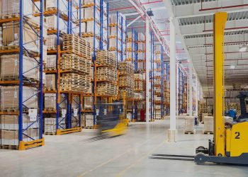 6 Indispensable Tips for Choosing a WMS