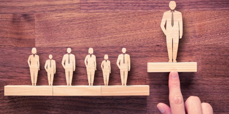 Where Should CEOs Place Their Focus to be More Productive and Efficient