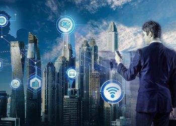 IT Infrastructure in the Public Sector