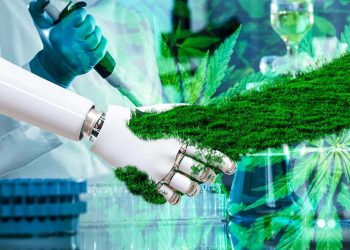 Top Cannabis Industry Trends to Look Out For in 2022
