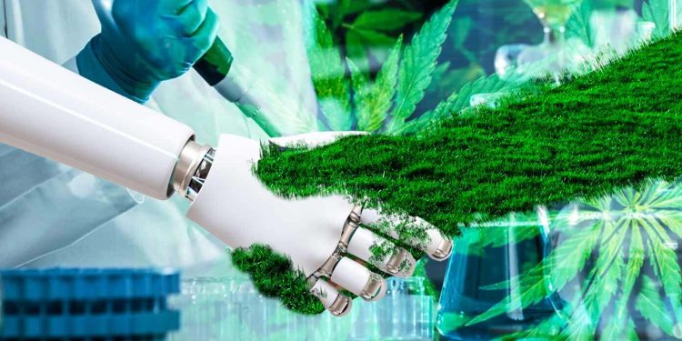Top Cannabis Industry Trends to Look Out For in 2022