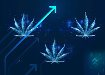 The Potential of the Marijuana Industry Growth in America