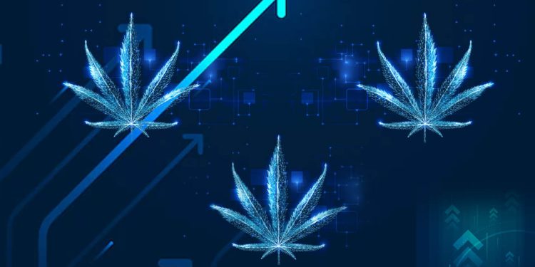 The Potential of the Marijuana Industry Growth in America