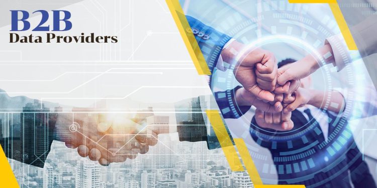 B2B Data Providers