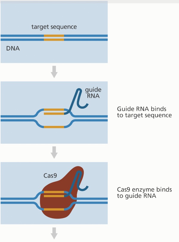 Genome Research 
