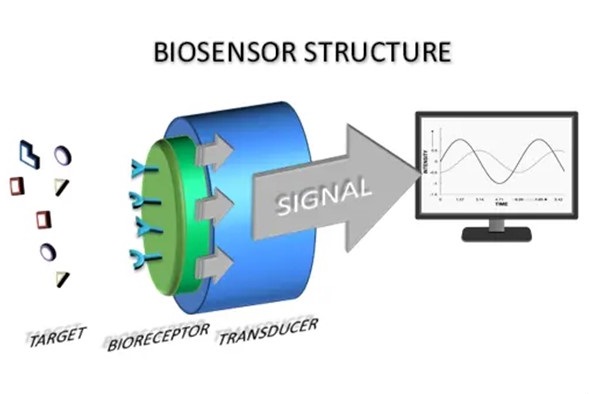 Biosensors