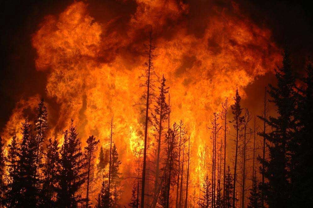 Forest Fire Management