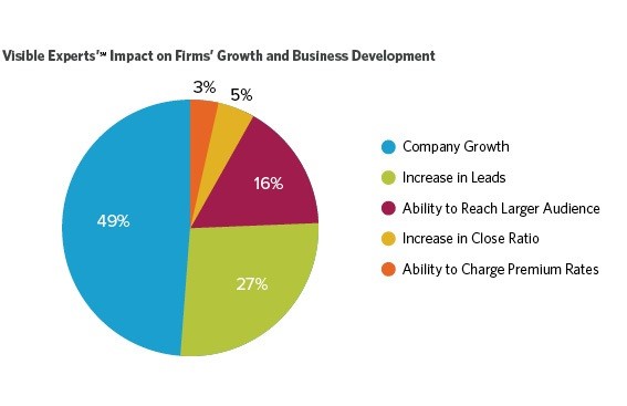 Visible Experts Impact on Firms Growth and Business Development