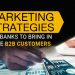 best-marketing-strategies-for-banks-to-bring-in-more b2b customers
