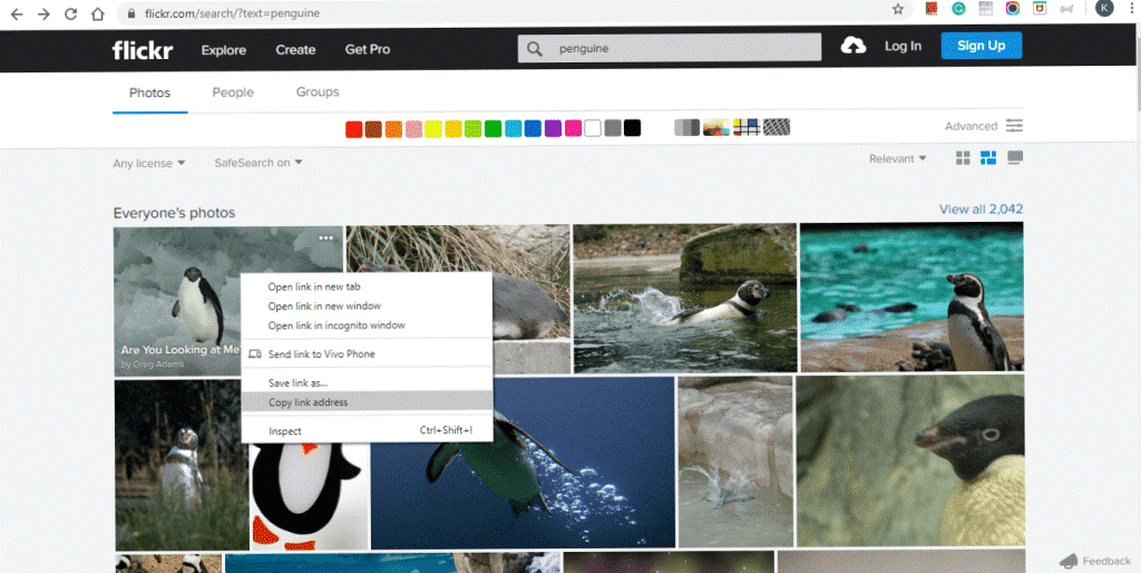Flickr
