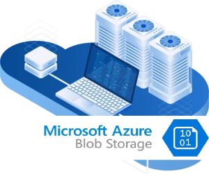 Blob storage asset